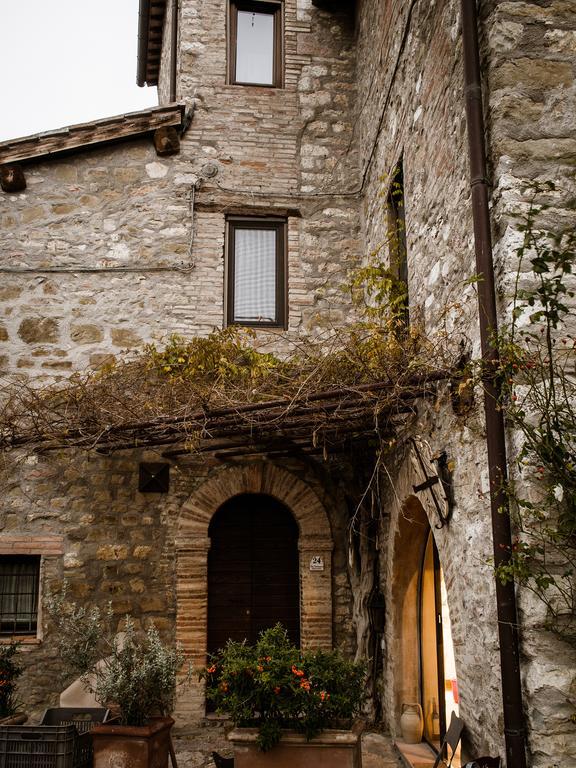 Montebagnolo Torre Valbiancaraゲストハウス エクステリア 写真